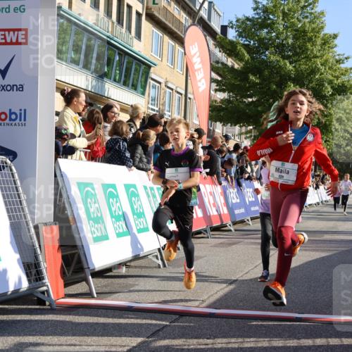 15.09.2024 - PSD Bank Halbmarathon Strokosch-Dieckow http://msf.ph/oto/7066462 15.09.2024 10:26:49 Ziel 118, 134, 143, 173, 188, 196, 209, 212, 229, 237, 251, 307 meine-sportfotos.de