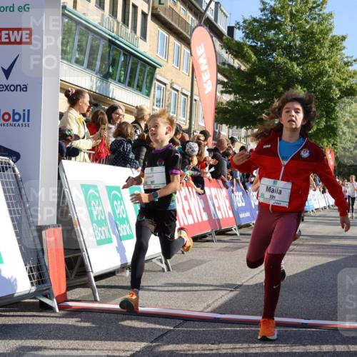 15.09.2024 - PSD Bank Halbmarathon Strokosch-Dieckow http://msf.ph/oto/7066489 15.09.2024 10:26:50 Ziel 134, 143, 173, 196, 209, 212, 229, 237, 251, 307 meine-sportfotos.de