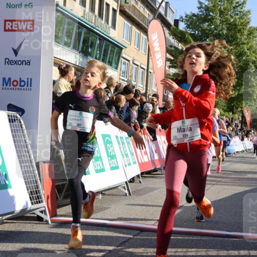 15.09.2024 - PSD Bank Halbmarathon Strokosch-Dieckow http://msf.ph/oto/7066547 15.09.2024 10:26:50 Ziel 134, 143, 173, 196, 209, 212, 229, 237, 251, 307 meine-sportfotos.de