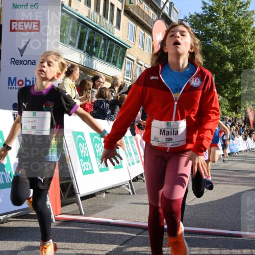 15.09.2024 - PSD Bank Halbmarathon Strokosch-Dieckow http://msf.ph/oto/7066588 15.09.2024 10:26:50 Ziel 134, 143, 173, 196, 209, 212, 229, 237, 251, 307 meine-sportfotos.de