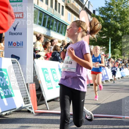 15.09.2024 - PSD Bank Halbmarathon Strokosch-Dieckow http://msf.ph/oto/7066624 15.09.2024 10:26:51 Ziel 134, 143, 173, 196, 209, 212, 229, 237, 251, 307 meine-sportfotos.de