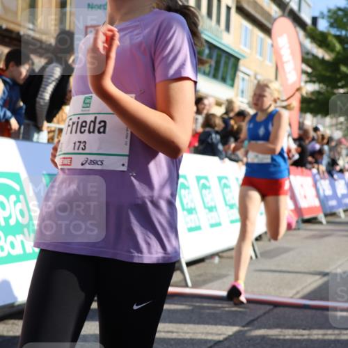 15.09.2024 - PSD Bank Halbmarathon Strokosch-Dieckow http://msf.ph/oto/7066654 15.09.2024 10:26:51 Ziel 134, 143, 173, 196, 209, 212, 229, 237, 251, 307 meine-sportfotos.de