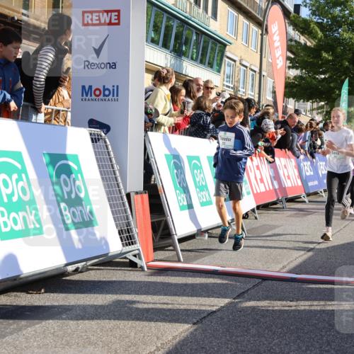 15.09.2024 - PSD Bank Halbmarathon Strokosch-Dieckow http://msf.ph/oto/7066724 15.09.2024 10:26:54 Ziel 134, 173, 196, 209, 212, 215, 229, 237, 307 meine-sportfotos.de