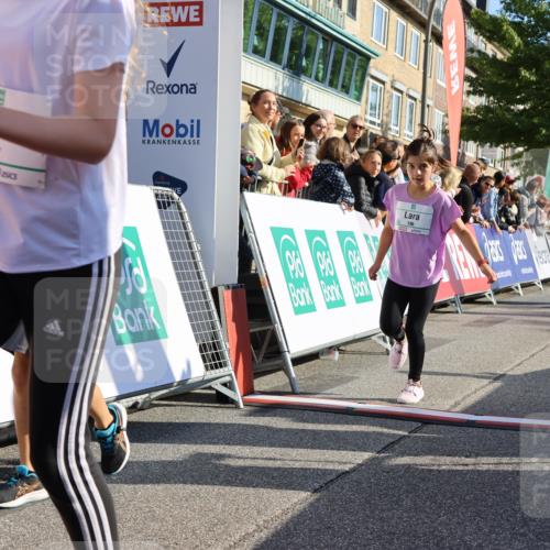 15.09.2024 - PSD Bank Halbmarathon Strokosch-Dieckow http://msf.ph/oto/7066820 15.09.2024 10:26:56 Ziel 134, 173, 196, 209, 212, 215, 229, 237, 284, 307 meine-sportfotos.de