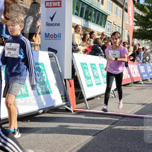 15.09.2024 - PSD Bank Halbmarathon Strokosch-Dieckow http://msf.ph/oto/7066842 15.09.2024 10:26:56 Ziel 134, 173, 196, 209, 212, 215, 229, 237, 284, 307 meine-sportfotos.de