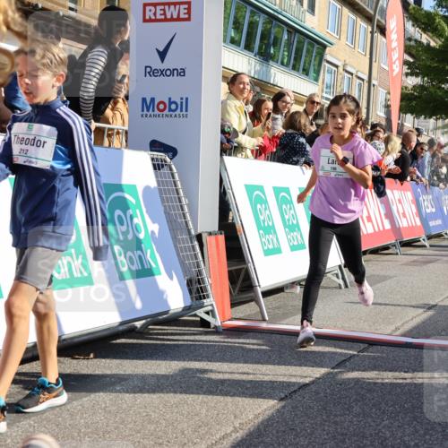 15.09.2024 - PSD Bank Halbmarathon Strokosch-Dieckow http://msf.ph/oto/7066854 15.09.2024 10:26:56 Ziel 134, 173, 196, 209, 212, 215, 229, 237, 284, 307 meine-sportfotos.de