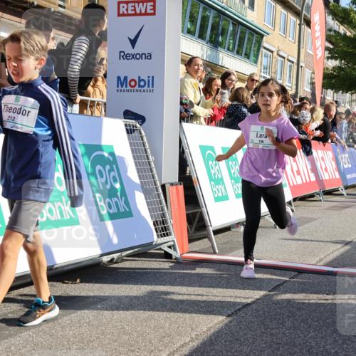 15.09.2024 - PSD Bank Halbmarathon Strokosch-Dieckow http://msf.ph/oto/7066869 15.09.2024 10:26:56 Ziel 134, 173, 196, 209, 212, 215, 229, 237, 284, 307 meine-sportfotos.de