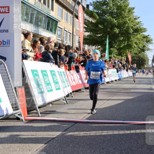 15.09.2024 - PSD Bank Halbmarathon Strokosch-Dieckow http://msf.ph/oto/7066885 15.09.2024 10:27:01 Ziel 69, 134, 173, 196, 212, 215, 229, 237, 284, 307 meine-sportfotos.de