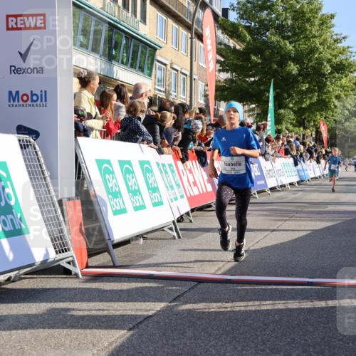 15.09.2024 - PSD Bank Halbmarathon Strokosch-Dieckow http://msf.ph/oto/7066909 15.09.2024 10:27:01 Ziel 69, 134, 173, 196, 212, 215, 229, 237, 284, 307 meine-sportfotos.de