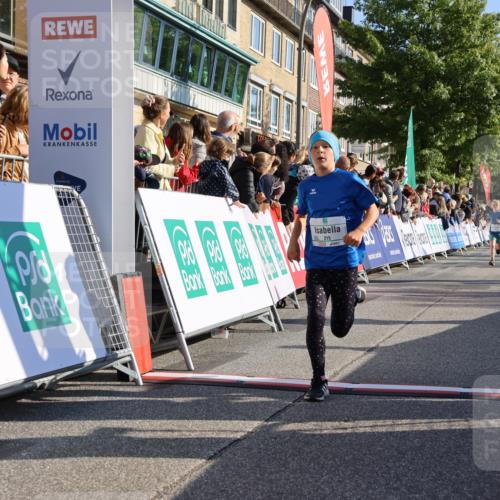 15.09.2024 - PSD Bank Halbmarathon Strokosch-Dieckow http://msf.ph/oto/7066955 15.09.2024 10:27:01 Ziel 69, 134, 173, 196, 212, 215, 229, 237, 284, 307 meine-sportfotos.de