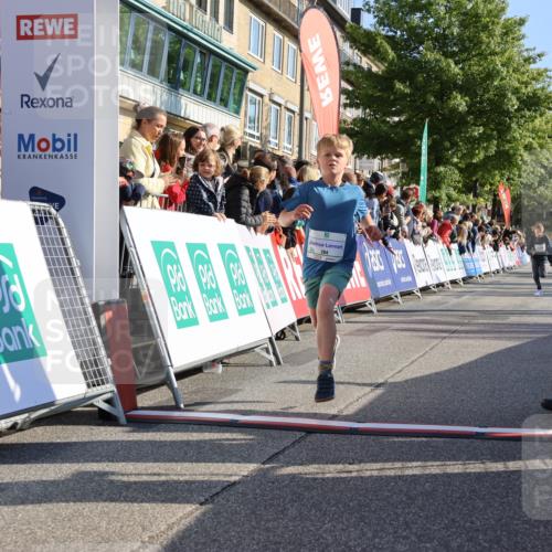 15.09.2024 - PSD Bank Halbmarathon Strokosch-Dieckow http://msf.ph/oto/7067034 15.09.2024 10:27:05 Ziel 42, 69, 196, 212, 215, 237, 284 meine-sportfotos.de
