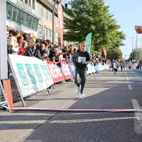 15.09.2024 - PSD Bank Halbmarathon Strokosch-Dieckow http://msf.ph/oto/7067072 15.09.2024 10:27:09 Ziel 18, 42, 69, 75, 82, 167, 215, 270, 284, 294 meine-sportfotos.de