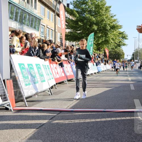 15.09.2024 - PSD Bank Halbmarathon Strokosch-Dieckow http://msf.ph/oto/7067085 15.09.2024 10:27:09 Ziel 18, 42, 69, 75, 82, 167, 215, 270, 284, 294 meine-sportfotos.de