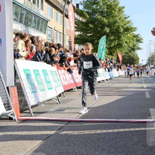 15.09.2024 - PSD Bank Halbmarathon Strokosch-Dieckow http://msf.ph/oto/7067112 15.09.2024 10:27:09 Ziel 18, 42, 69, 75, 82, 167, 215, 270, 284, 294 meine-sportfotos.de
