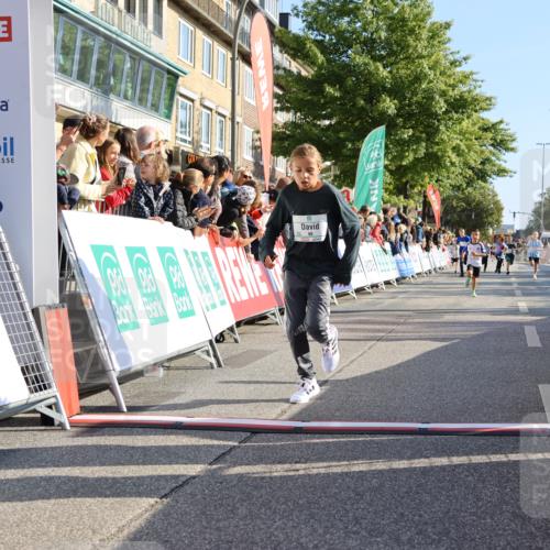 15.09.2024 - PSD Bank Halbmarathon Strokosch-Dieckow http://msf.ph/oto/7067138 15.09.2024 10:27:09 Ziel 18, 42, 69, 75, 82, 167, 215, 270, 284, 294 meine-sportfotos.de