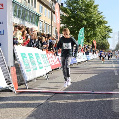 15.09.2024 - PSD Bank Halbmarathon Strokosch-Dieckow http://msf.ph/oto/7067156 15.09.2024 10:27:09 Ziel 18, 42, 69, 75, 82, 167, 215, 270, 284, 294 meine-sportfotos.de