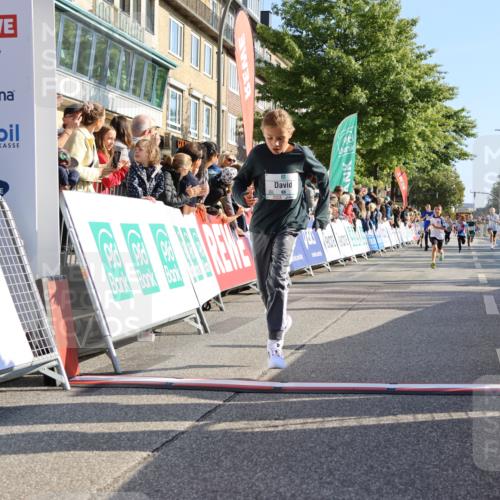 15.09.2024 - PSD Bank Halbmarathon Strokosch-Dieckow http://msf.ph/oto/7067170 15.09.2024 10:27:09 Ziel 18, 42, 69, 75, 82, 167, 215, 270, 284, 294 meine-sportfotos.de