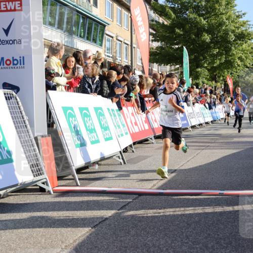 15.09.2024 - PSD Bank Halbmarathon Strokosch-Dieckow http://msf.ph/oto/7067201 15.09.2024 10:27:13 Ziel 18, 42, 69, 75, 82, 167, 270, 284, 294 meine-sportfotos.de