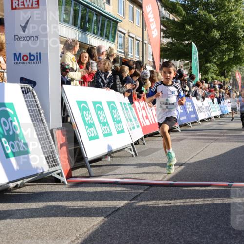 15.09.2024 - PSD Bank Halbmarathon Strokosch-Dieckow http://msf.ph/oto/7067242 15.09.2024 10:27:13 Ziel 18, 42, 69, 75, 82, 167, 270, 284, 294 meine-sportfotos.de