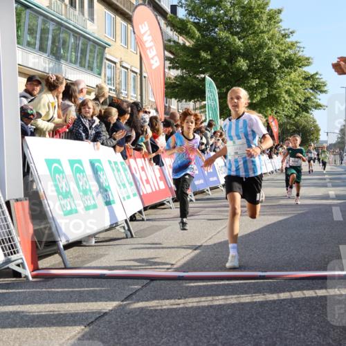 15.09.2024 - PSD Bank Halbmarathon Strokosch-Dieckow http://msf.ph/oto/7067332 15.09.2024 10:27:15 Ziel 18, 42, 69, 75, 82, 167, 198, 210, 270, 284, 294 meine-sportfotos.de