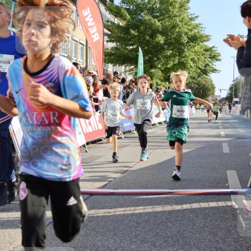 15.09.2024 - PSD Bank Halbmarathon Strokosch-Dieckow http://msf.ph/oto/7067500 15.09.2024 10:27:17 Ziel 18, 42, 69, 75, 82, 167, 198, 210, 270, 294 meine-sportfotos.de