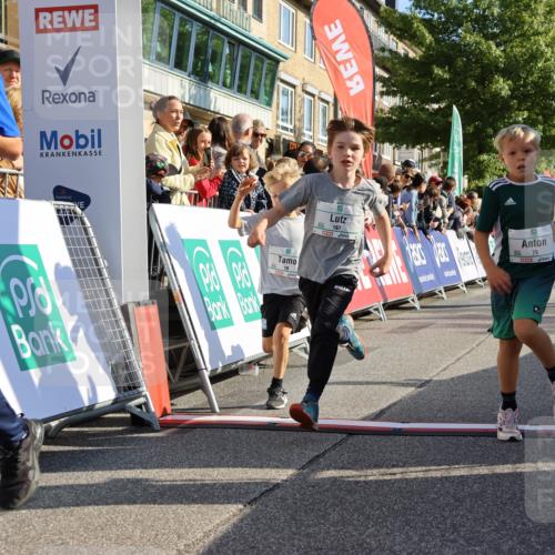 15.09.2024 - PSD Bank Halbmarathon Strokosch-Dieckow http://msf.ph/oto/7067556 15.09.2024 10:27:17 Ziel 18, 42, 69, 75, 82, 167, 198, 210, 270, 294 meine-sportfotos.de