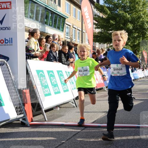 15.09.2024 - PSD Bank Halbmarathon Strokosch-Dieckow http://msf.ph/oto/7068128 15.09.2024 10:27:43 Ziel 8, 48, 122, 139, 159, 174, 204, 219, 233, 268, 272 meine-sportfotos.de