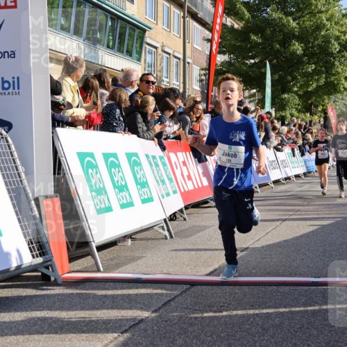 15.09.2024 - PSD Bank Halbmarathon Strokosch-Dieckow http://msf.ph/oto/7068466 15.09.2024 10:27:53 Ziel 8, 27, 28, 37, 73, 101, 103, 122, 125, 159, 204, 249 meine-sportfotos.de