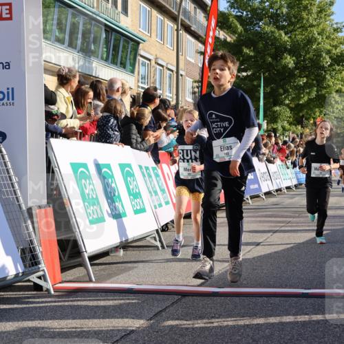 15.09.2024 - PSD Bank Halbmarathon Strokosch-Dieckow http://msf.ph/oto/7068616 15.09.2024 10:27:55 Ziel 8, 27, 28, 37, 73, 101, 103, 125, 159, 204, 249, 296 meine-sportfotos.de