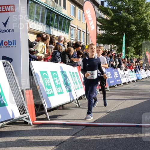 15.09.2024 - PSD Bank Halbmarathon Strokosch-Dieckow http://msf.ph/oto/7069104 15.09.2024 10:28:05 Ziel 27, 28, 37, 73, 77, 101, 103, 108, 128, 138, 247, 249, 261, 296 meine-sportfotos.de