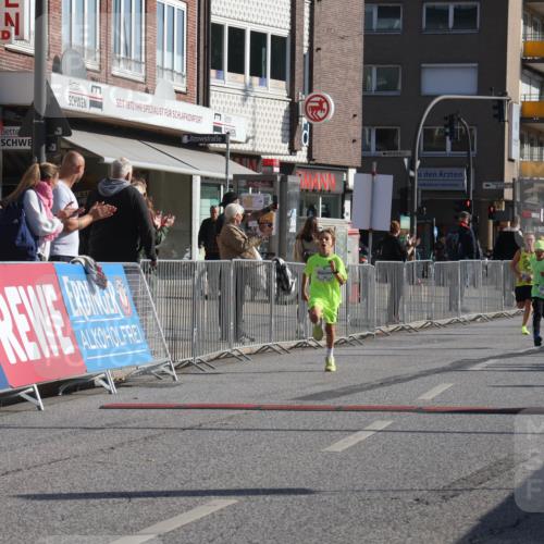 15.09.2024 - PSD Bank Halbmarathon Michael Strokosch http://msf.ph/oto/7069534 15.09.2024 10:25:04 Ziel 61, 102, 119, 131, 165, 177, 211 meine-sportfotos.de