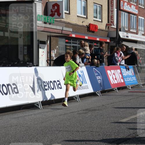 15.09.2024 - PSD Bank Halbmarathon Michael Strokosch http://msf.ph/oto/7069574 15.09.2024 10:25:07 Ziel 102, 119, 131, 165, 177 meine-sportfotos.de