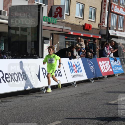 15.09.2024 - PSD Bank Halbmarathon Michael Strokosch http://msf.ph/oto/7069581 15.09.2024 10:25:07 Ziel 102, 119, 131, 165, 177 meine-sportfotos.de