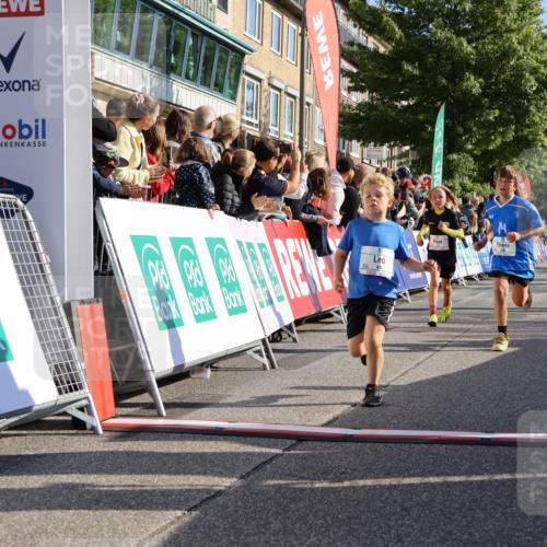 15.09.2024 - PSD Bank Halbmarathon Strokosch-Dieckow http://msf.ph/oto/7069607 15.09.2024 10:28:14 Ziel 14, 43, 77, 94, 108, 128, 138, 161, 208, 217, 230, 247, 261, 262, 293, 296 meine-sportfotos.de