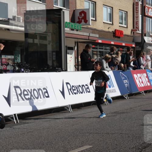 15.09.2024 - PSD Bank Halbmarathon Michael Strokosch http://msf.ph/oto/7069929 15.09.2024 10:25:41 Ziel 36, 54, 221, 238, 248, 257, 298, 300 meine-sportfotos.de