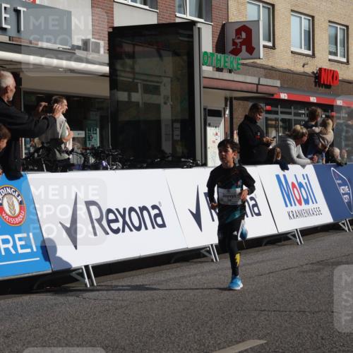 15.09.2024 - PSD Bank Halbmarathon Michael Strokosch http://msf.ph/oto/7069934 15.09.2024 10:25:41 Ziel 36, 54, 221, 238, 248, 257, 298, 300 meine-sportfotos.de