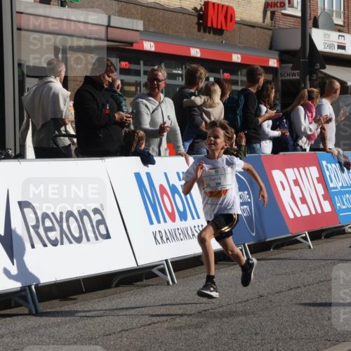 15.09.2024 - PSD Bank Halbmarathon Michael Strokosch http://msf.ph/oto/7069953 15.09.2024 10:25:44 Ziel 36, 54, 221, 238, 248, 298, 300 meine-sportfotos.de
