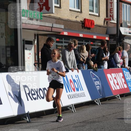 15.09.2024 - PSD Bank Halbmarathon Michael Strokosch http://msf.ph/oto/7070037 15.09.2024 10:25:53 Ziel 20, 54, 98, 240, 298 meine-sportfotos.de
