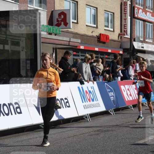15.09.2024 - PSD Bank Halbmarathon Michael Strokosch http://msf.ph/oto/7070112 15.09.2024 10:25:59 Ziel 20, 54, 98, 240 meine-sportfotos.de
