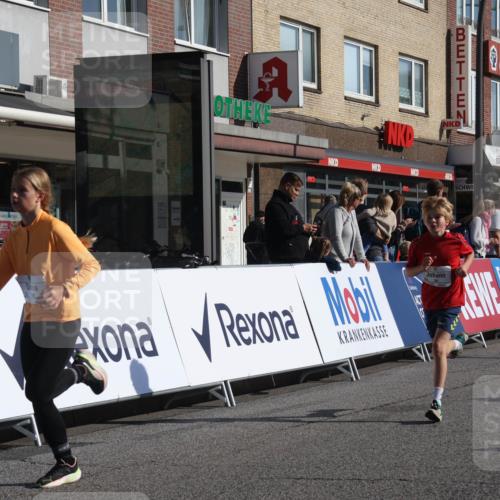 15.09.2024 - PSD Bank Halbmarathon Michael Strokosch http://msf.ph/oto/7070118 15.09.2024 10:26:00 Ziel 20, 54, 98, 240, 242 meine-sportfotos.de