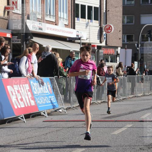 15.09.2024 - PSD Bank Halbmarathon Michael Strokosch http://msf.ph/oto/7070163 15.09.2024 10:26:08 Ziel 9, 20, 88, 144, 181, 240, 242, 295 meine-sportfotos.de