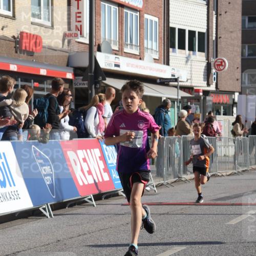 15.09.2024 - PSD Bank Halbmarathon Michael Strokosch http://msf.ph/oto/7070175 15.09.2024 10:26:08 Ziel 9, 20, 88, 144, 181, 240, 242, 295 meine-sportfotos.de