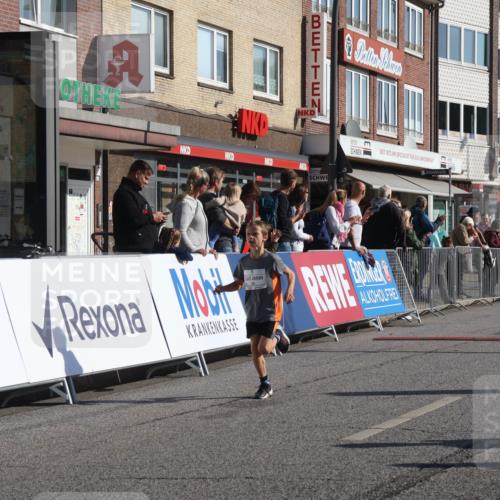 15.09.2024 - PSD Bank Halbmarathon Michael Strokosch http://msf.ph/oto/7070206 15.09.2024 10:26:10 Ziel 9, 20, 86, 88, 144, 181, 240, 242, 295 meine-sportfotos.de