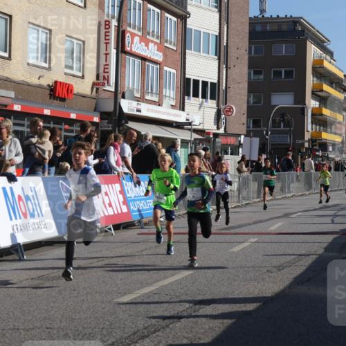 15.09.2024 - PSD Bank Halbmarathon Michael Strokosch http://msf.ph/oto/7070262 15.09.2024 10:26:16 Ziel 9, 86, 88, 116, 144, 181, 188, 200, 216, 242, 295 meine-sportfotos.de