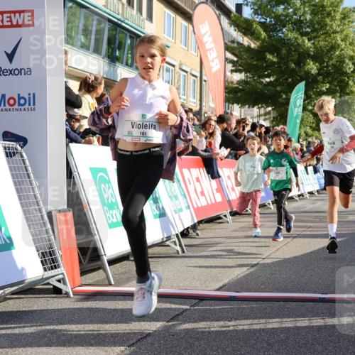 15.09.2024 - PSD Bank Halbmarathon Strokosch-Dieckow http://msf.ph/oto/7070266 15.09.2024 10:28:21 Ziel 14, 43, 77, 84, 94, 132, 135, 161, 166, 208, 217, 230, 247, 258, 261, 262, 293 meine-sportfotos.de
