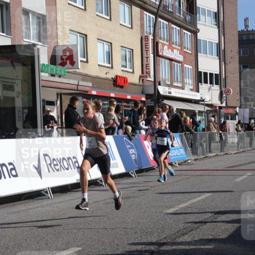 15.09.2024 - PSD Bank Halbmarathon Michael Strokosch http://msf.ph/oto/7070366 15.09.2024 10:26:25 Ziel 9, 86, 88, 116, 118, 143, 144, 188, 200, 216, 251, 295 meine-sportfotos.de