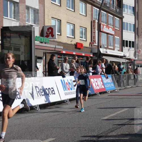 15.09.2024 - PSD Bank Halbmarathon Michael Strokosch http://msf.ph/oto/7070375 15.09.2024 10:26:25 Ziel 9, 86, 88, 116, 118, 143, 144, 188, 200, 216, 251, 295 meine-sportfotos.de