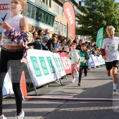 15.09.2024 - PSD Bank Halbmarathon Strokosch-Dieckow http://msf.ph/oto/7070447 15.09.2024 10:28:22 Ziel 14, 43, 77, 84, 94, 132, 135, 161, 166, 208, 217, 230, 247, 258, 261, 262, 293 meine-sportfotos.de