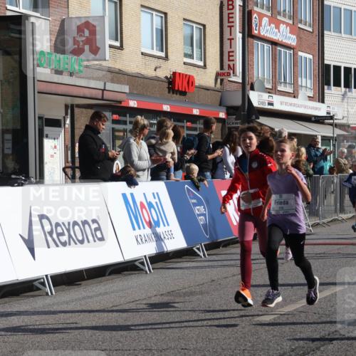 15.09.2024 - PSD Bank Halbmarathon Michael Strokosch http://msf.ph/oto/7070455 15.09.2024 10:26:36 Ziel 116, 118, 134, 143, 173, 196, 200, 209, 212, 229, 237, 251, 307 meine-sportfotos.de