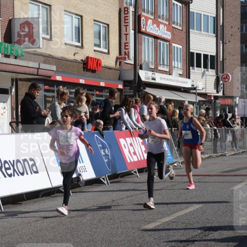 15.09.2024 - PSD Bank Halbmarathon Michael Strokosch http://msf.ph/oto/7070474 15.09.2024 10:26:37 Ziel 118, 134, 143, 173, 196, 209, 212, 229, 237, 251, 307 meine-sportfotos.de